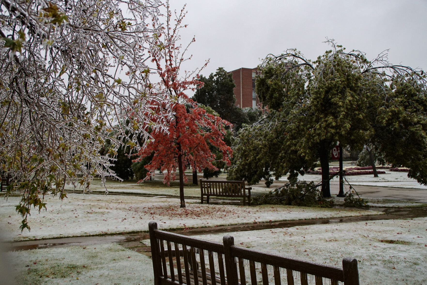 OU campus